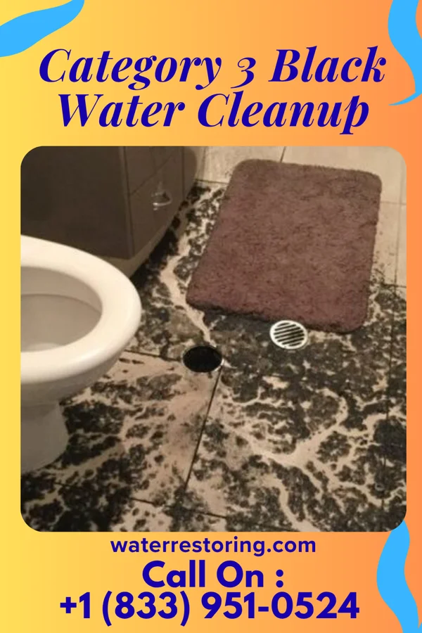 Category 3 Black Water Cleanup in Nashua, NH