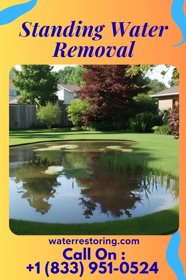 Standing Water Removal in Nashua, NH